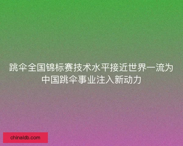 跳伞全国锦标赛技术水平接近世界一流为中国跳伞事业注入新动力