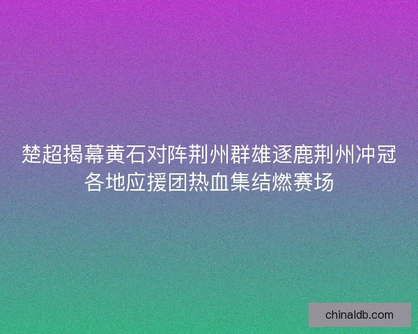 楚超揭幕黄石对阵荆州群雄逐鹿荆州冲冠各地应援团热血集结燃赛场