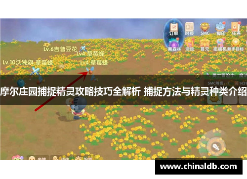 摩尔庄园捕捉精灵攻略技巧全解析 捕捉方法与精灵种类介绍