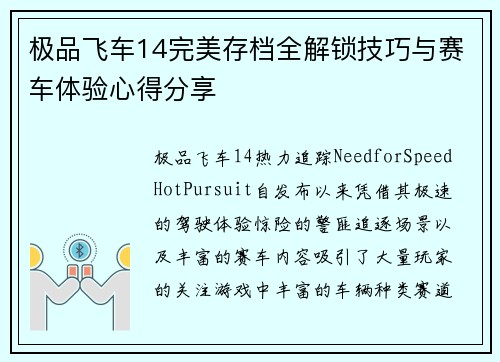 极品飞车14完美存档全解锁技巧与赛车体验心得分享